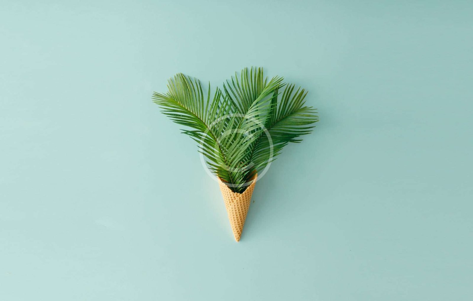 Extraordinary Things